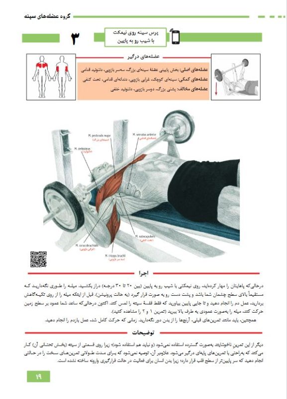 دایره المعارف تمرین های بدنسازی|400 تمرین ورزشی آنلاین|انتشارات نرسی|nersipublication.ir