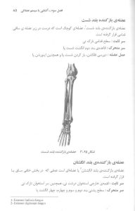 ایروبیک، ورزش همگانی-انتشارات نرسی-انتشارات ورزشی- ورزش ریتمیک -nersipublication.ir