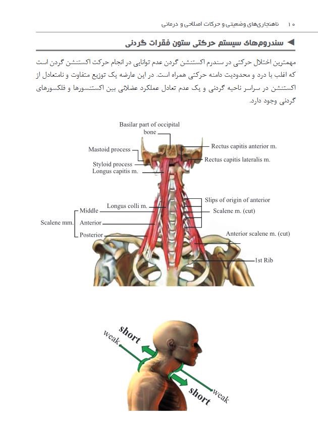 کتاب ناهنجاری های وضعیتی و حرکات اصلاحی و درمانی-انتشارات نرسی-انتشارات ورزشی-nersipublication.ir