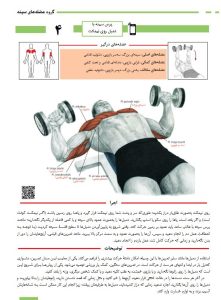 دایره المعارف تمرین های بدنسازی|400 تمرین ورزشی آنلاین|انتشارات نرسی|nersipublication.ir|انتشارات ورزشی